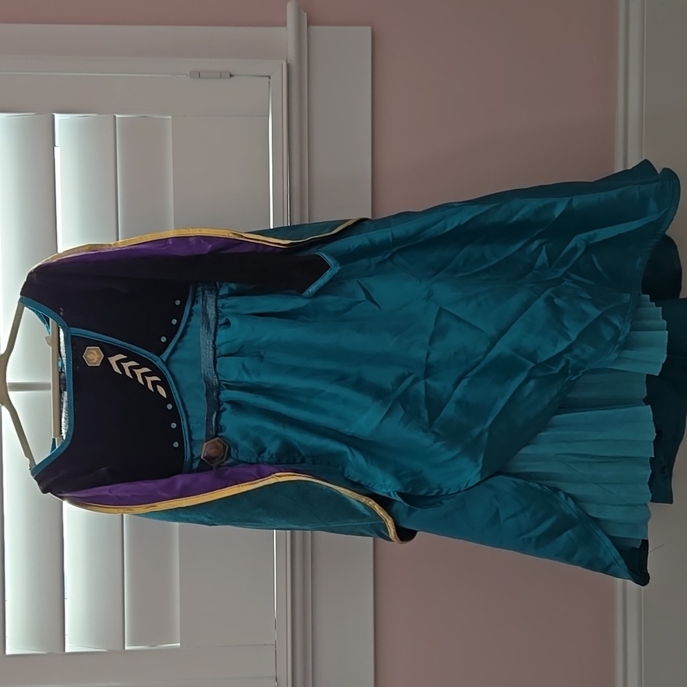 Disney Princess Costume in Teal and Black